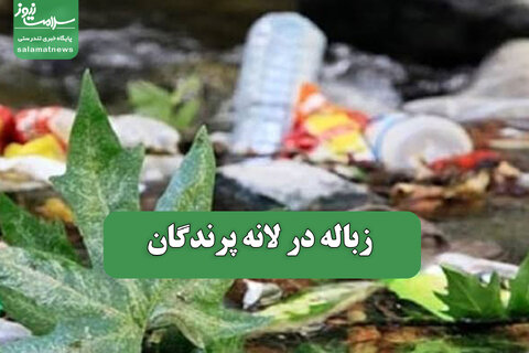 زباله در لانه پرندگان