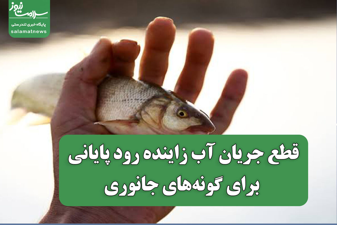 قطع جریان زایندهرود تهدیدی برای گونههای جانوری
