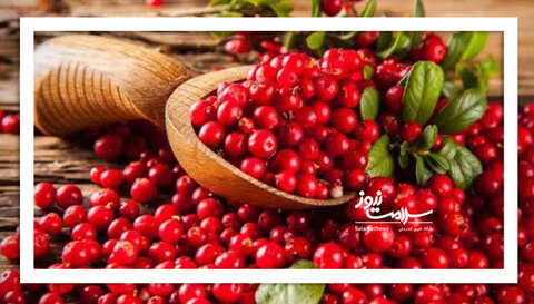 ویتامین سی کرنبری بیشتر است یا انار؟