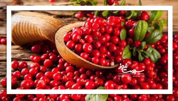 ویتامین سی کرنبری بیشتر است یا انار؟