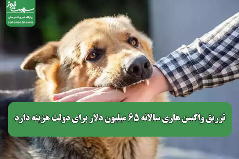 تزریق واکسن هاری سالانه ۶۵ میلیون دلار برای دولت هزینه دارد