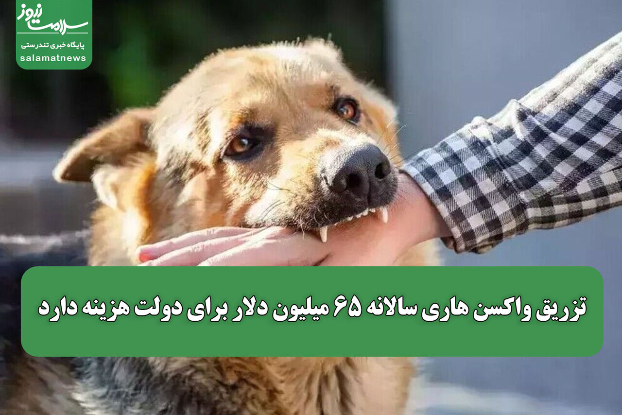 تزریق واکسن هاری سالانه ۶۵ میلیون دلار برای دولت هزینه دارد
