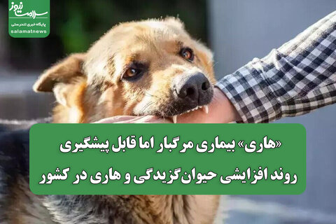 «هاری» بیماری مرگبار اما قابل پیشگیری / روند افزایشی حیوان‌گزیدگی و هاری در کشور