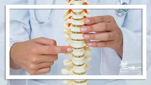 استخوان و مغز همزمان پیر می‌شوند؟
