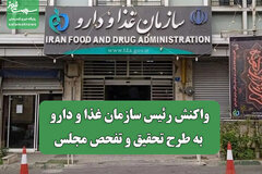 واکنش رئیس سازمان غذا و دارو به طرح تحقیق و تفحص مجلس