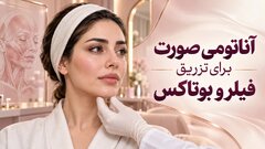 آناتومی صورت برای تزریق فیلر و بوتاکس