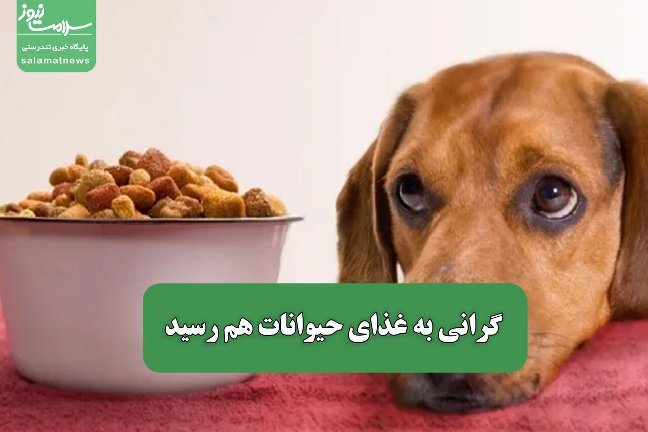 گرانی به غذای حیوانات هم رسید گرانی به غذای حیوانات هم رسید