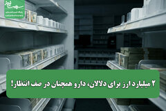 ۲ میلیارد ارز برای دلالان، دارو همچنان در صف انتظار!