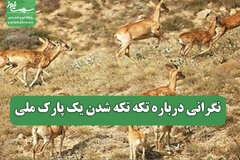 نگرانی درباره تکه تکه شدن یک پارک ملی