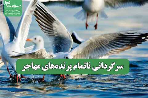 سرگردانی ناتمام پرنده‌های مهاجر
