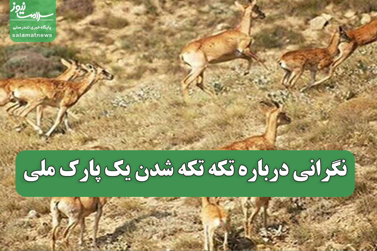 نگرانی درباره تکه تکه شدن یک پارک ملی