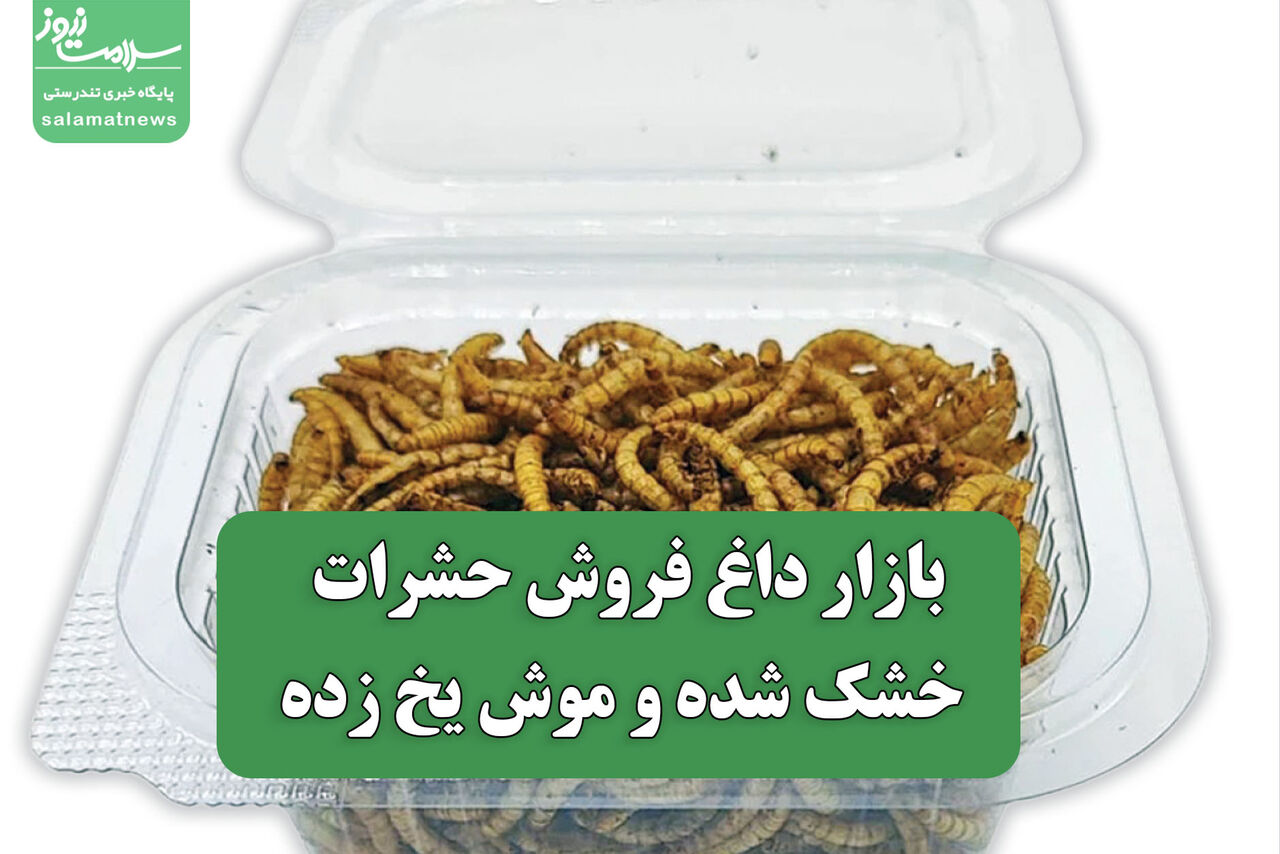 بازار داغ فروش حشرات خشک شده و موش یخ زده