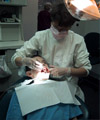 علل زیاد بودن شكایت از دندانپزشكان در مقایسه با سایر پزشكان