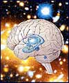 استفاده از مغزهای سیلیکنی برای درک تواناییهای شناختی انسان