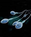 حفظ تندرستی اسپرم‌ ها با مصرف ویتامین
