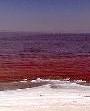 علت تغییر رنگ دریاچه ارومیه مشخص شد