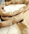 مجلس پیگیر برنج های وارداتی آلوده به آرسنیک