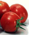 مصرف گوجه فرنگی به هضم غذا کمک می‌کند