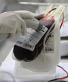 توقف کیسه‌های خون در گمرک/ انتقال خون ریالی برای ترخیص تجهیزات ندارد