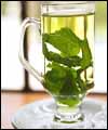 چای سبز، گیاهی با هزاران خواص نهفته و آشكار