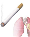 مصرف دخانیات عامل ۸۰ درصد بیماری های مزمن ریوی