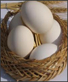 تاثیر سفیده تخم مرغ در کاهش فشارخون