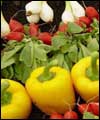 میوه‌ها و سبزیجات را چگونه سالم نگهداریم؟