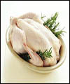 پرونده مرغ‌های آلوده به سرب در چرخه تایید و تکذیب