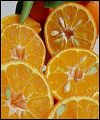 نارنگی، تصفیه کننده خون