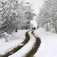 اولین برف زمستانی، تهران را سپیدپوش کرد