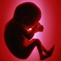 «سقط جنین» در نیم ساعت!