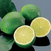 خواص لیمو برای پوست