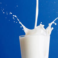 مصرف شیر در پیشگیری از نقرس موثر است