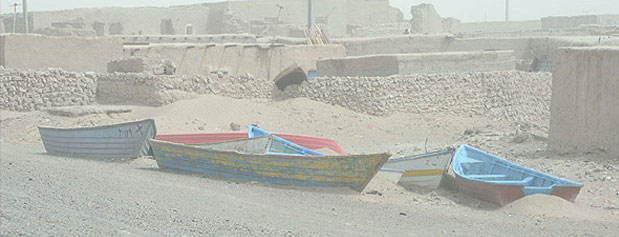 دولت به اندازه دریاچه ارومیه به تالاب هامون توجه کند