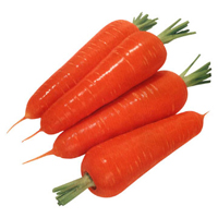 هویج را بهتر بشناسیم