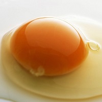تخم‌مرغ معدنی از طلای مغذی