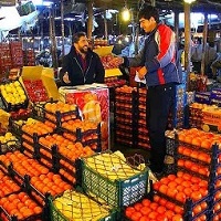 هشت‌هزار تن میوه در تهران توزیع شده‌است