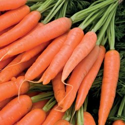 چرا هویج بوی بد دهان را برطرف میکند؟