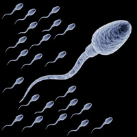 ۷ راهکار برای افزایش تعداد اسپرم