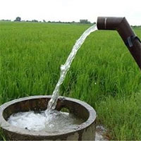 هدر روی ۶۲ درصدی‌ آب‌ کشاورزی
