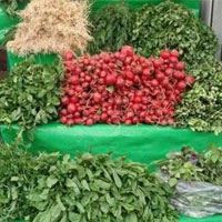 آژیرقرمز وزارت بهداشت اینبار برای سبزیجات آلوده