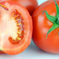 معجزه دانه های گوجه فرنگی!