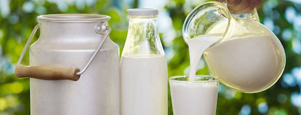 شیر برای سومین بار گران شد: صنایع لبنی از دامداران، ارزان می خرند به مردم گران می فروشند
