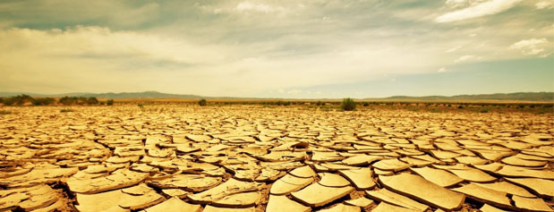 خشکسالی تابستان آینده زمین را تهدید می کند