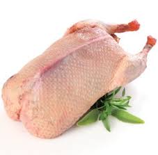 مزایا و معایب گوشت اردک