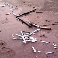 عکس/دفع زباله های بیمارستانی در دریای خزر