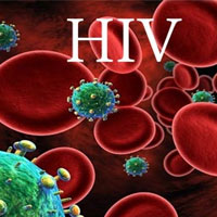 آزمایش موفقیت آمیز توقف ویروس اچ آی وی در میمون ها