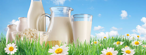 صنعت شیر قربانی بحران پالم و وایتکس شد؟