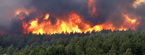 زمین‌خواری با آتش زدن جنگل