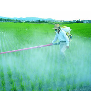وزارت جهاد کشاورزی پاسخگوی آلودگی‌ محصولات کشاورزی باشد